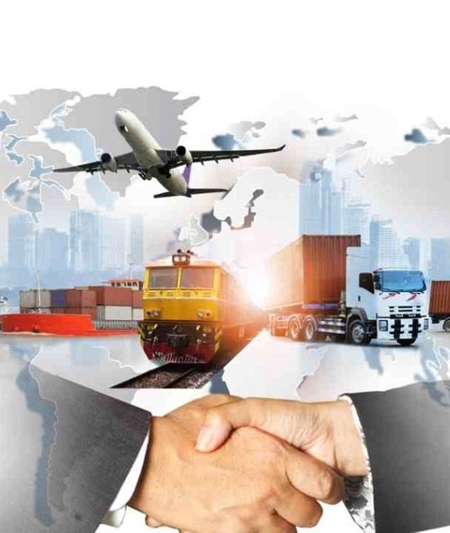 Inside Shovi Exports